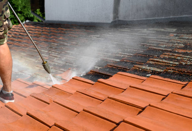 Best Exterior Home Cleaning  in Warrenton, GA