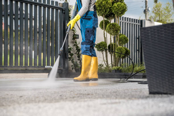 Best Roof Pressure Washing  in Warrenton, GA